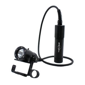 DL-D09 Canister Diving Light  