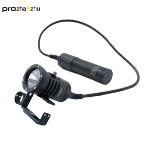 DL-D40-6B Canister Diving Light  