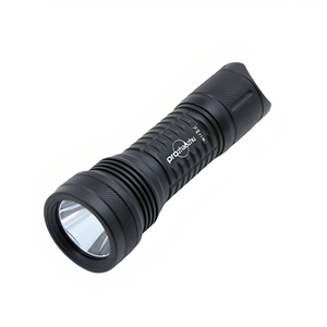 DL-B22 led dive light