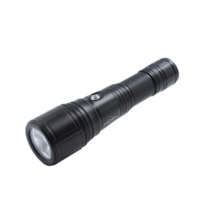 DL-B20 led dive light