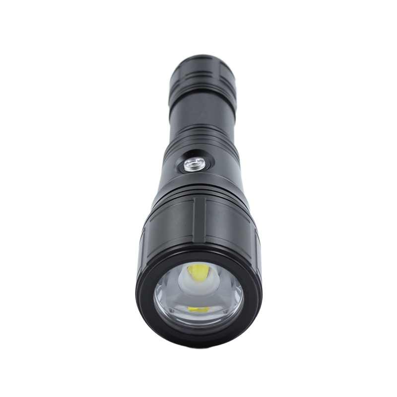 DL-B20 led dive light